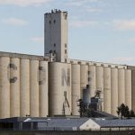 X Introduction to Grain Operations