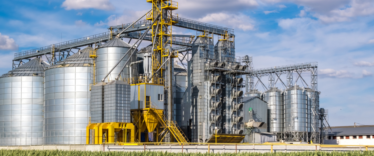 Grain Drying