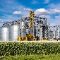 Grain Facilities Planning and Design II