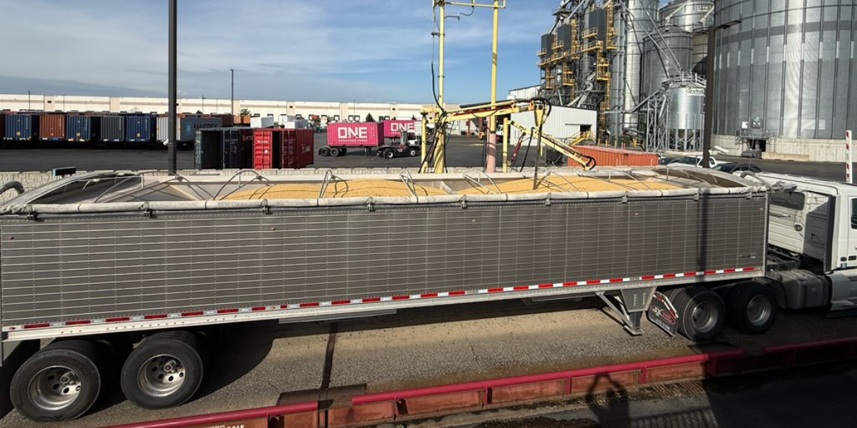 Introduction to Grain Quality Management