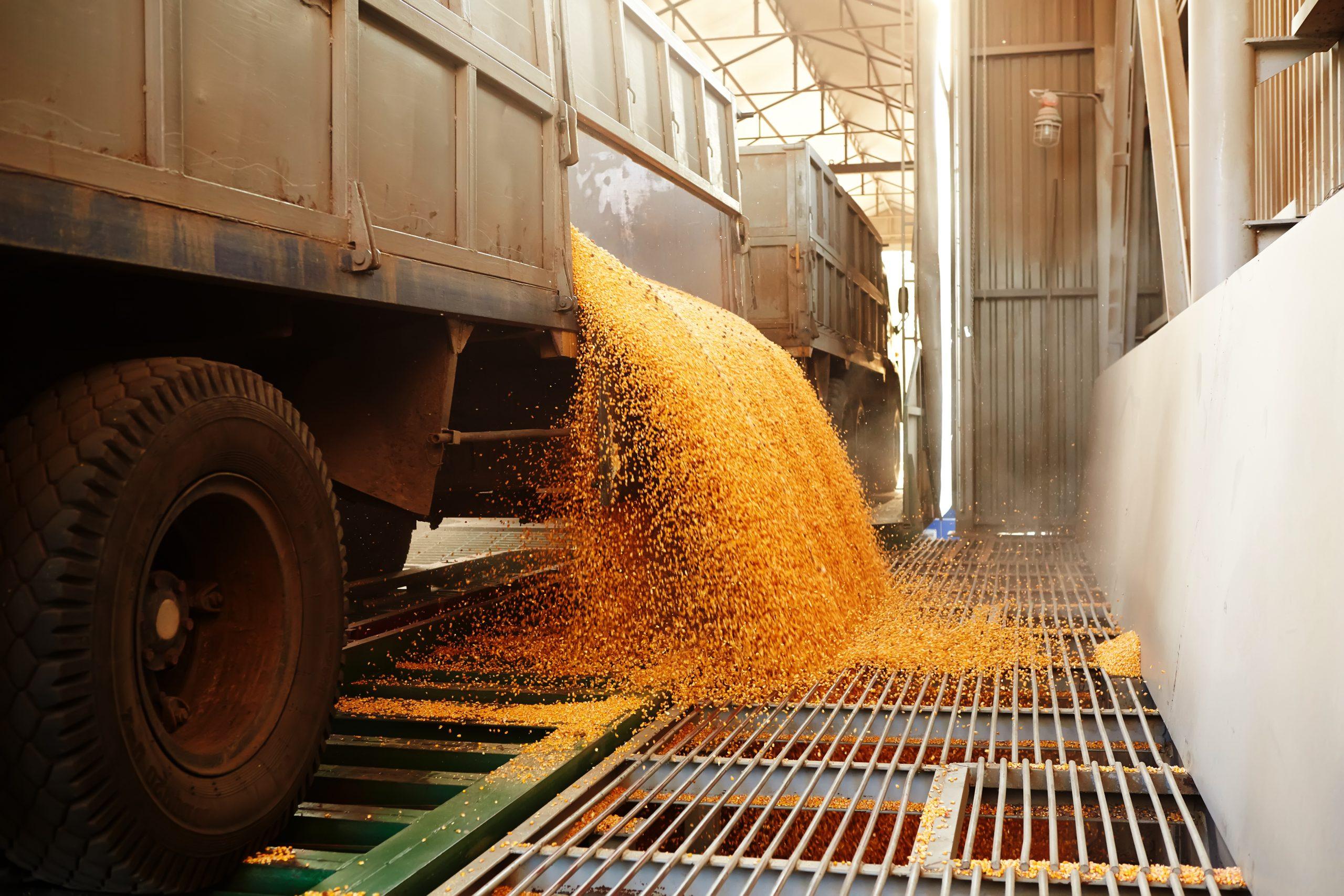 Quality Management Systems for Bulk Materials Handling Operations
